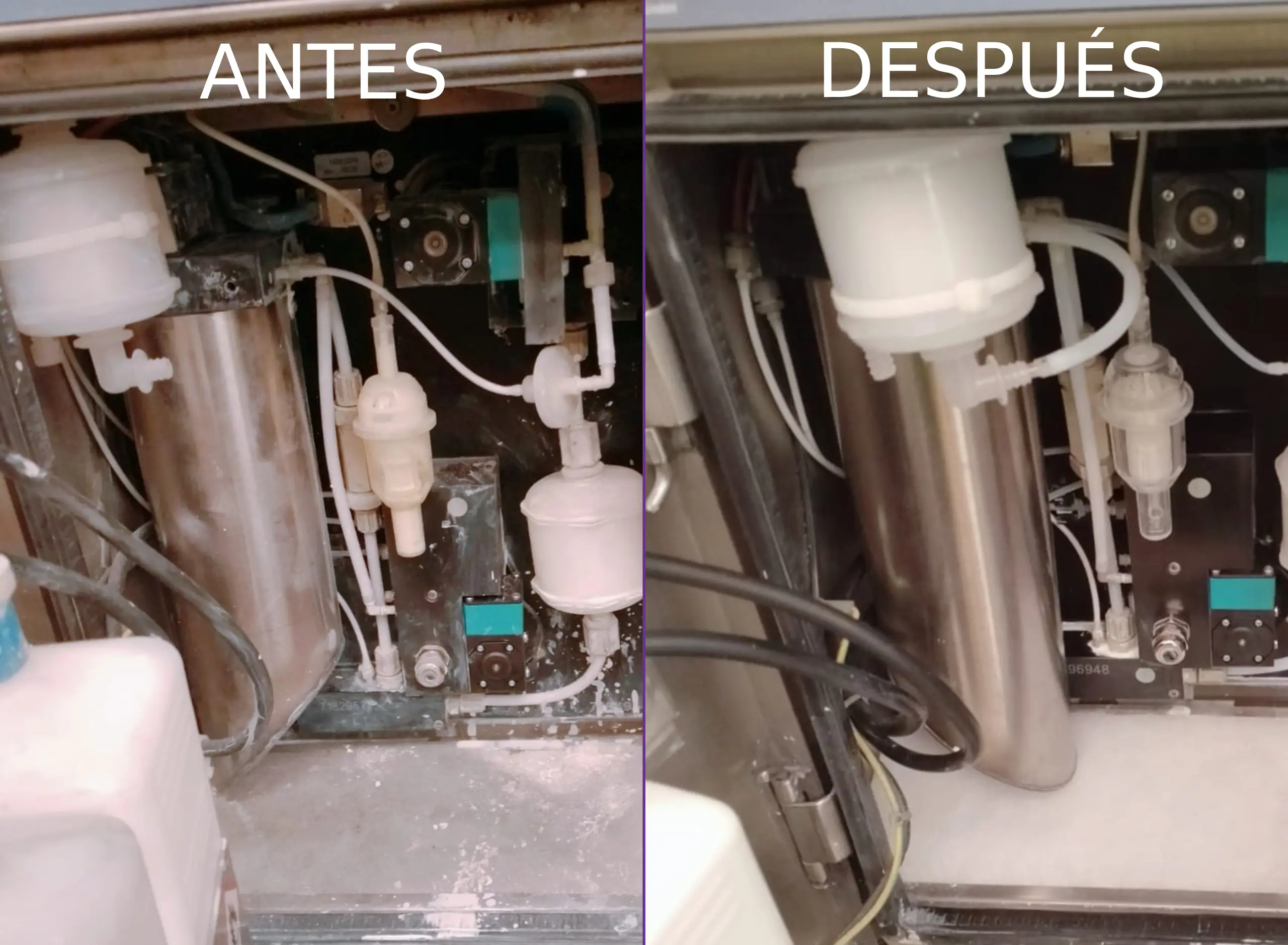 Servicio Técnico Especializado